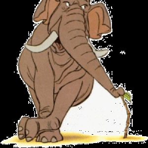 Profilbild von chicolini