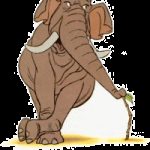 Profilbild von chicolini