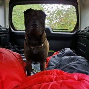 Profilbild von Peimobil