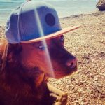 Profilbild von Finch-on-Tour
