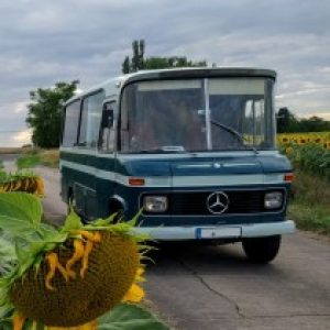 Profilbild von GottliebsReisen
