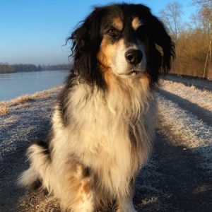 Profilbild von ChaosCru