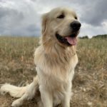 Profilbild von WELLY_1