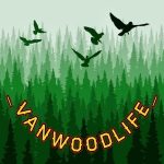 Profilbild von Vanwoodlife