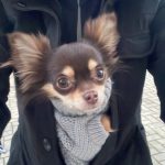 Profilbild von Alexabanana