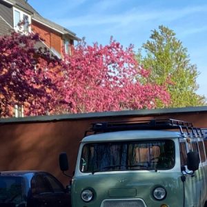 Profilbild von bublik