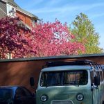 Profilbild von bublik