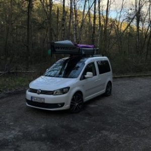 Profilbild von Noel
