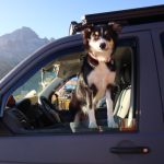 Profilbild von Bulli_XM