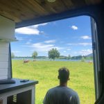 Profilbild von ManuelManuel